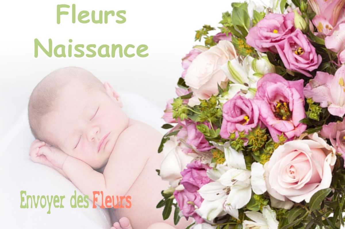 lIVRAISON FLEURS NAISSANCE à LA-FERTE